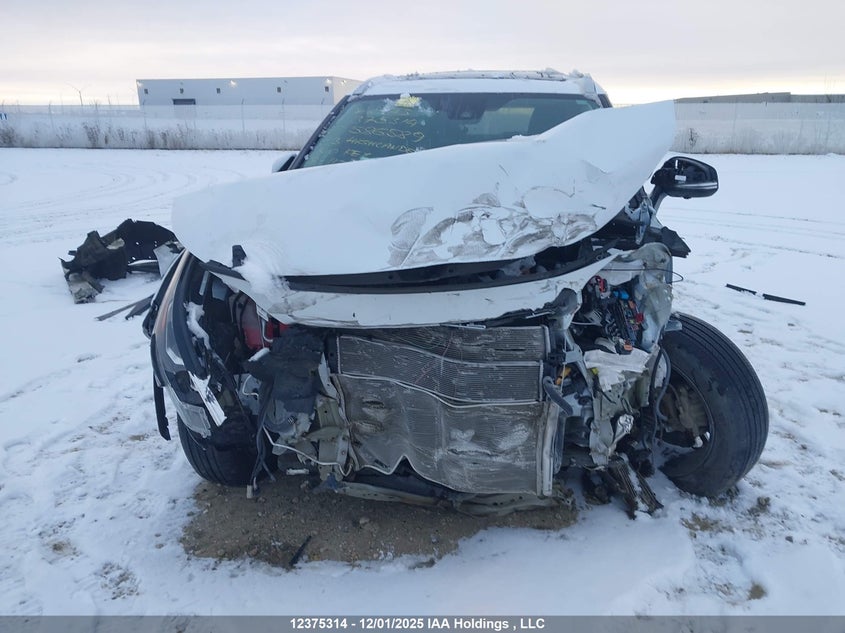 2023 Toyota Highlander Hybrid Limited/Hybrid Platinum VIN: 5TDEBRCH1PS586589 Lot: 12375314