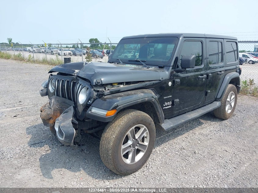 1C4HJXEG3MW516886 2021 JEEP WRANGLER photo no. 2