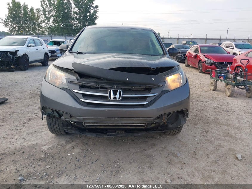 2014 Honda Cr-V Lx VIN: 2HKRM4H39EH110962 Lot: 12375691