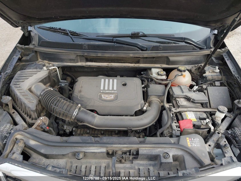 1GYKNDR46MZ144980 2021 CADILLAC XT5 photo no. 10