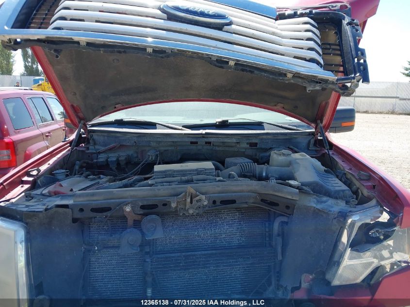 2010 Ford F-150 Stx/Xl/Xlt VIN: 1FTEX1E8XAFD36629 Lot: 12365138X