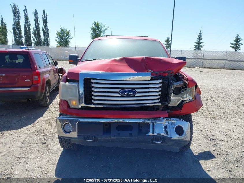 2010 Ford F-150 Stx/Xl/Xlt VIN: 1FTEX1E8XAFD36629 Lot: 12365138X