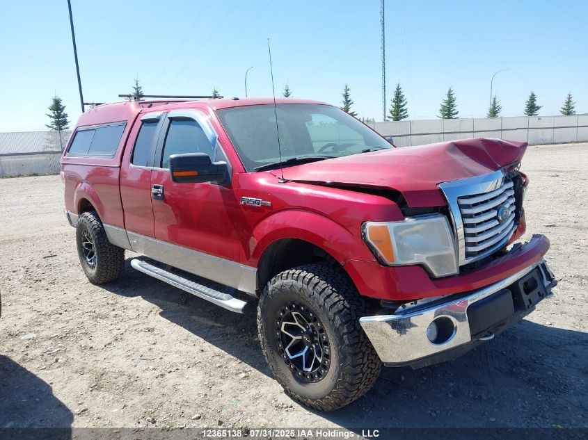 2010 Ford F-150 Stx/Xl/Xlt VIN: 1FTEX1E8XAFD36629 Lot: 12365138X