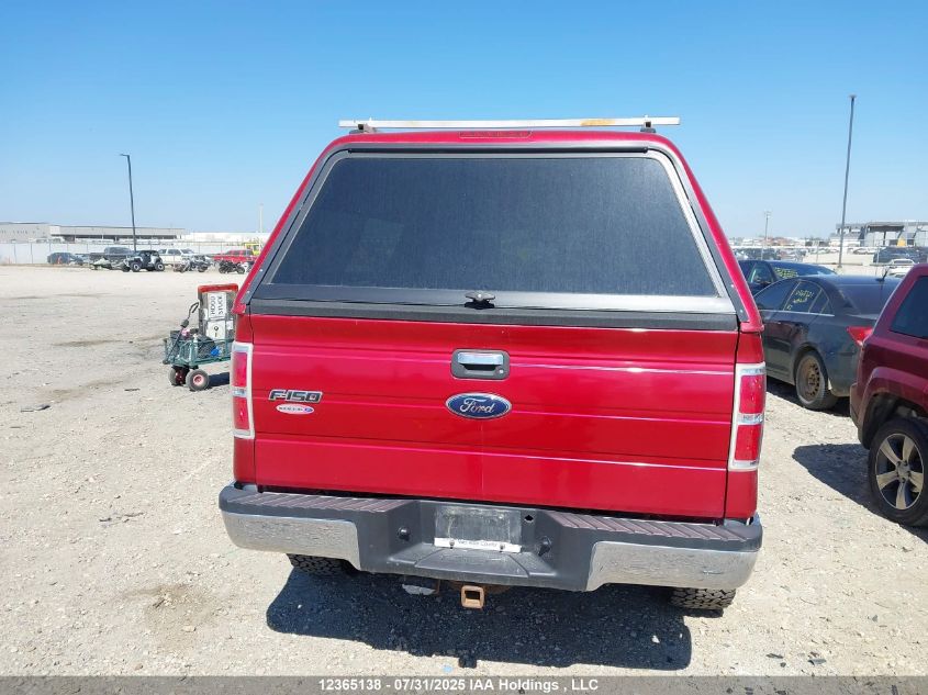 2010 Ford F-150 Stx/Xl/Xlt VIN: 1FTEX1E8XAFD36629 Lot: 12365138X