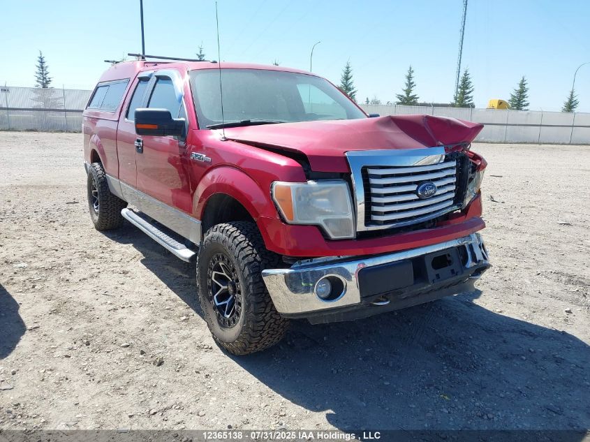 2010 Ford F-150 Stx/Xl/Xlt VIN: 1FTEX1E8XAFD36629 Lot: 12365138X