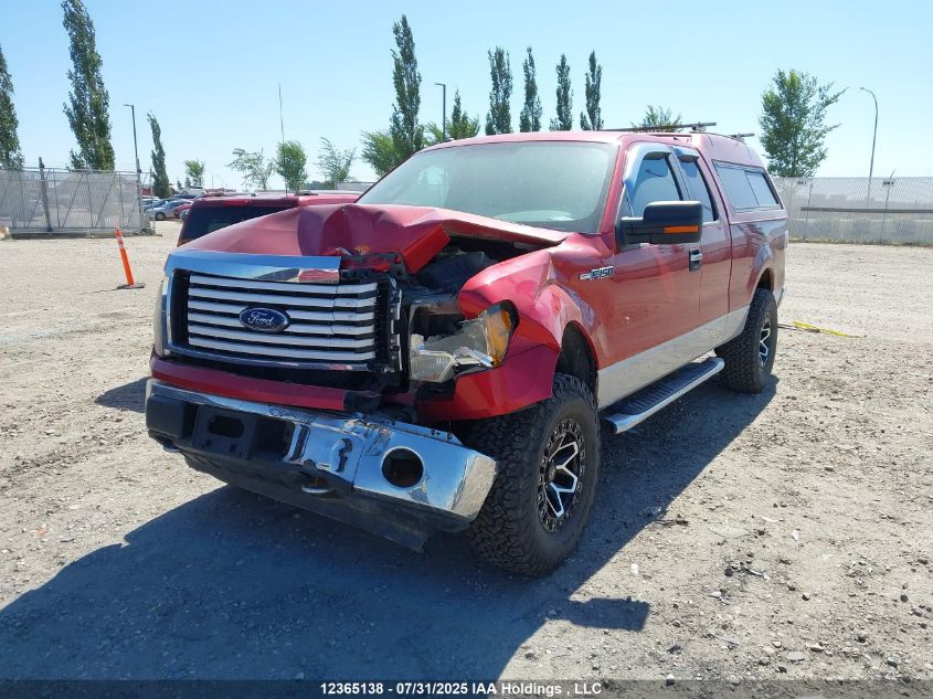 2010 Ford F-150 Stx/Xl/Xlt VIN: 1FTEX1E8XAFD36629 Lot: 12365138X