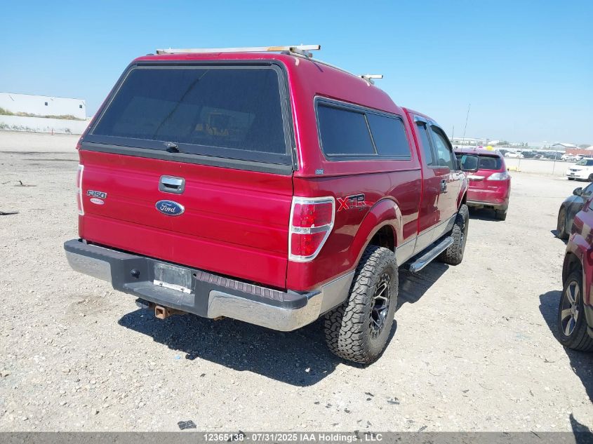 2010 Ford F-150 Stx/Xl/Xlt VIN: 1FTEX1E8XAFD36629 Lot: 12365138X