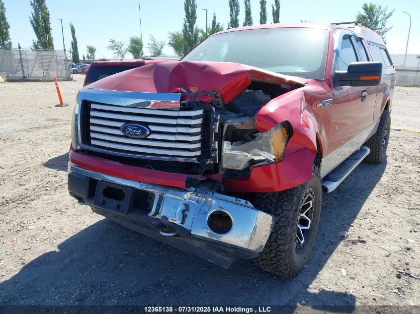 2010 Ford F-150 Stx/Xl/Xlt VIN: 1FTEX1E8XAFD36629 Lot: 12365138X