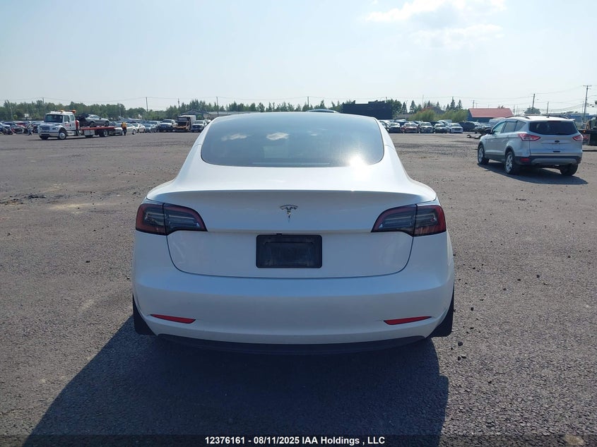 2023 Tesla Model 3 Rwd VIN: LRW3E1FA5PC843041 Lot: 12376161