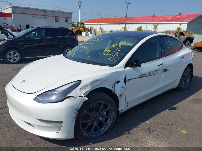 2023 Tesla Model 3 Rwd VIN: LRW3E1FA5PC843041 Lot: 12376161
