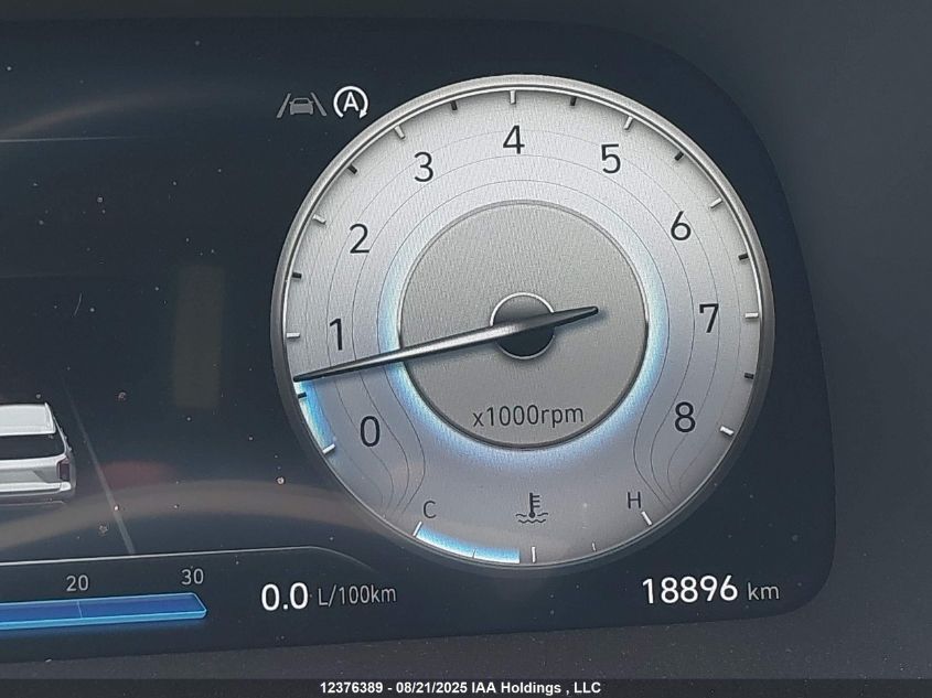 2024 Hyundai Palisade Limited VIN: KM8R5DGEXRU763887 Lot: 12376389