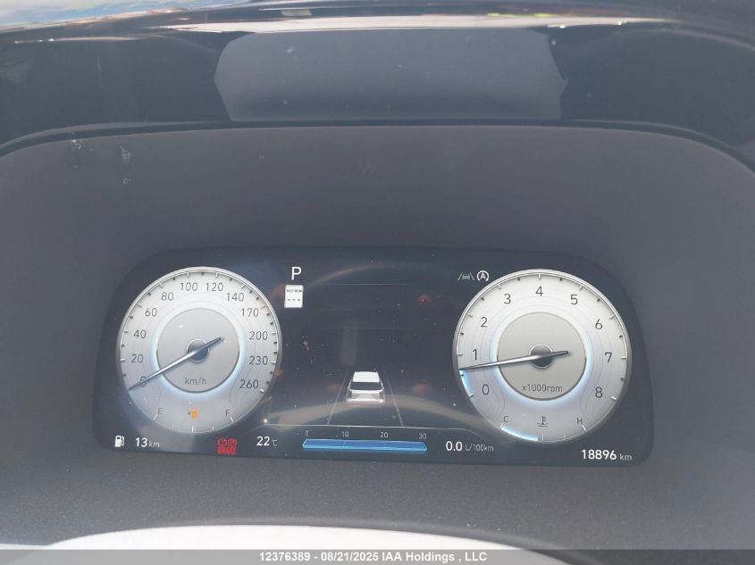 2024 Hyundai Palisade Limited VIN: KM8R5DGEXRU763887 Lot: 12376389