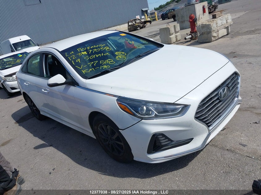 5NPE24AF5KH775118 2019 Hyundai Sonata Essential auction photo 1