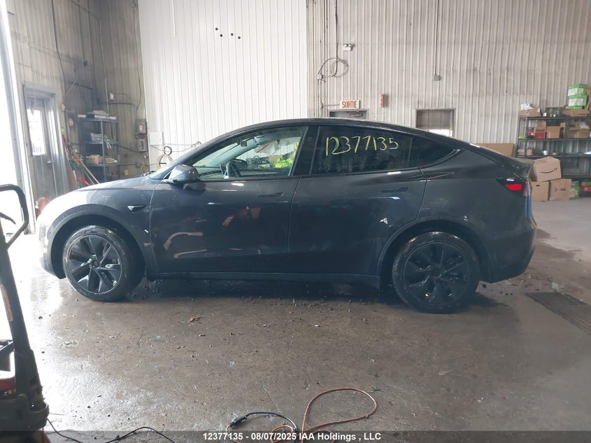 2025 Tesla Model Y VIN: 7SAYGDEE6SF224567 Lot: 12377135