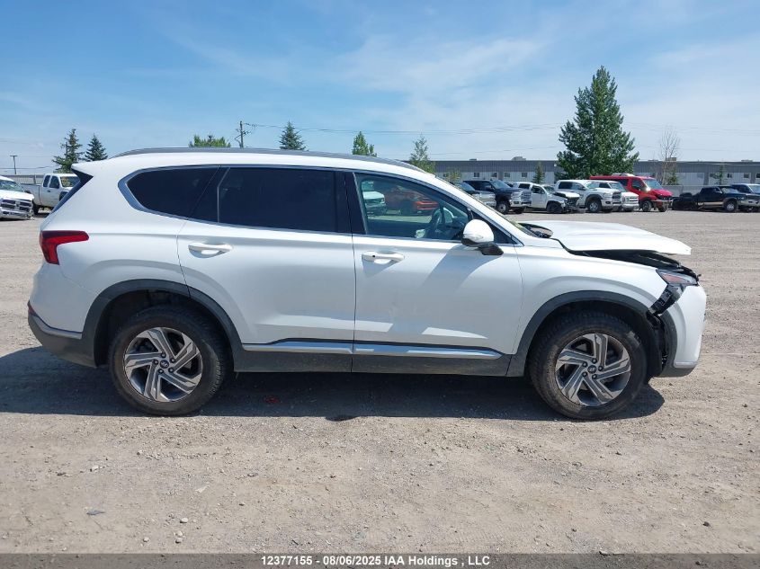 2021 Hyundai Santa Fe Sel VIN: 5NMS3DAJXMH353639 Lot: 12377155