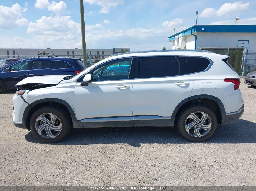 2021 Hyundai Santa Fe Sel VIN: 5NMS3DAJXMH353639 Lot: 12377155