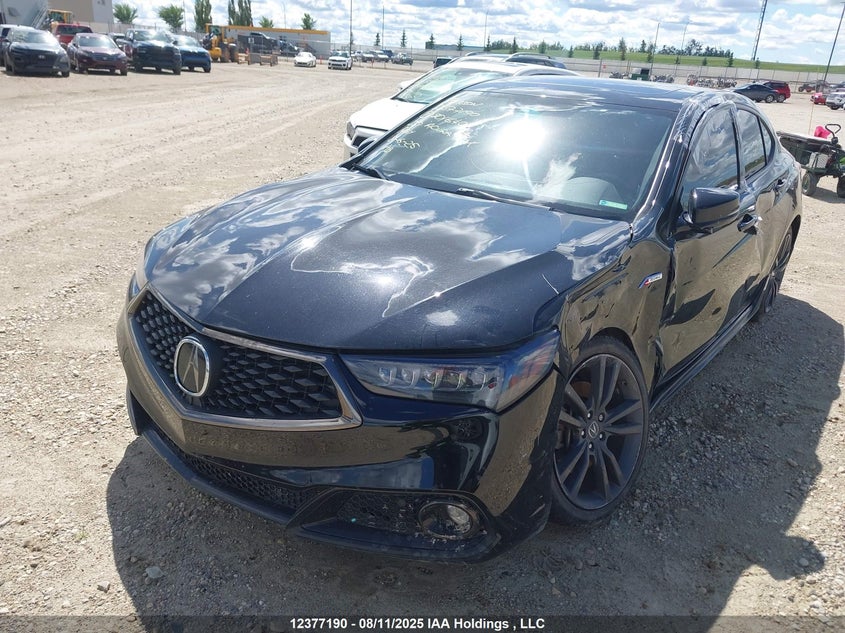 2020 Acura Tlx Technology/A-Spec VIN: 19UUB3F66LA801640 Lot: 12377190