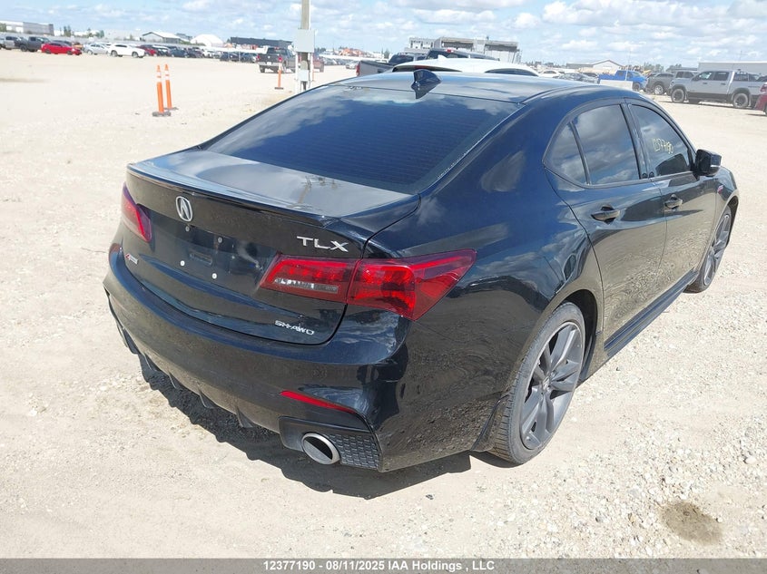 2020 Acura Tlx Technology/A-Spec VIN: 19UUB3F66LA801640 Lot: 12377190
