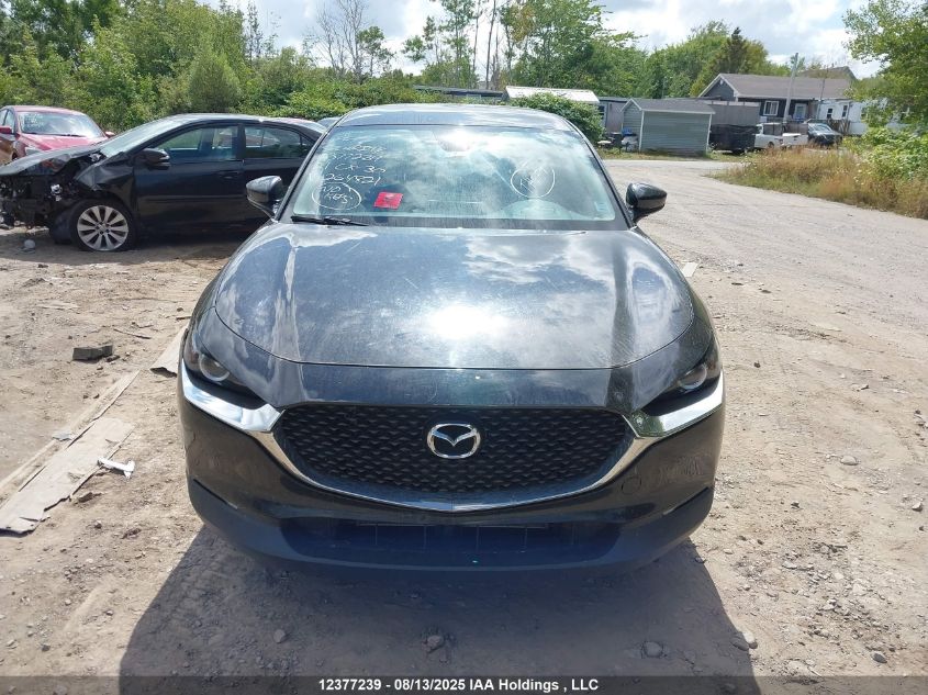 2021 Mazda Cx-30 Gx VIN: 3MVDMBB72MM264821 Lot: 12377239