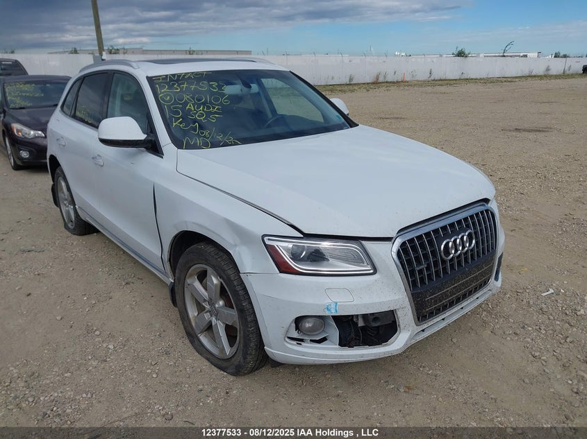WA1CGCFP2FA080106 2015 Audi Sq5 Premium Plus auction photo 1