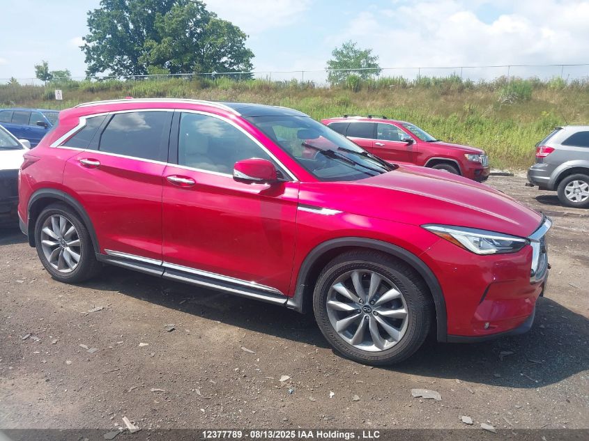 2019 Infiniti Qx50 Autograph/Essential/Luxe/Proactive/Sensory VIN: 3PCAJ5M30KF131307 Lot: 12377789