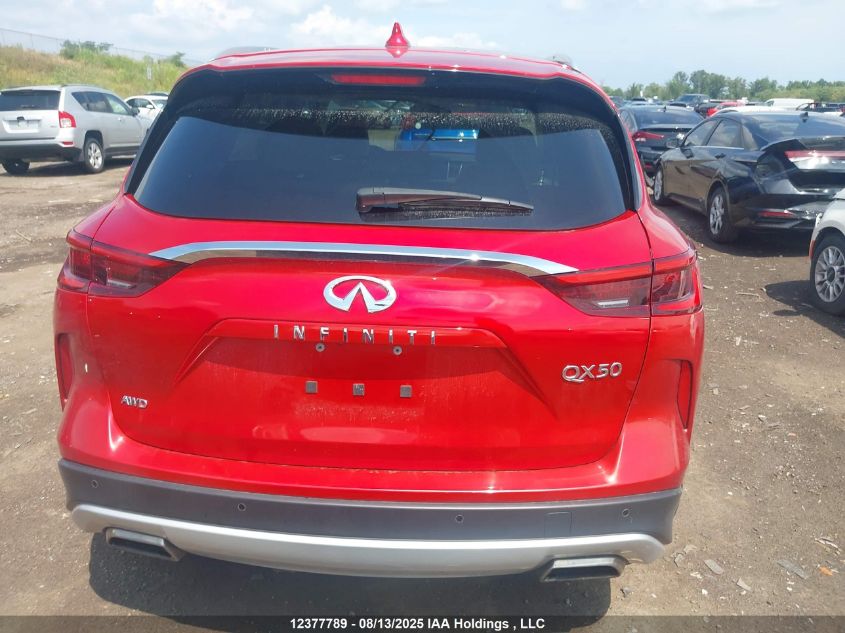 2019 Infiniti Qx50 Autograph/Essential/Luxe/Proactive/Sensory VIN: 3PCAJ5M30KF131307 Lot: 12377789