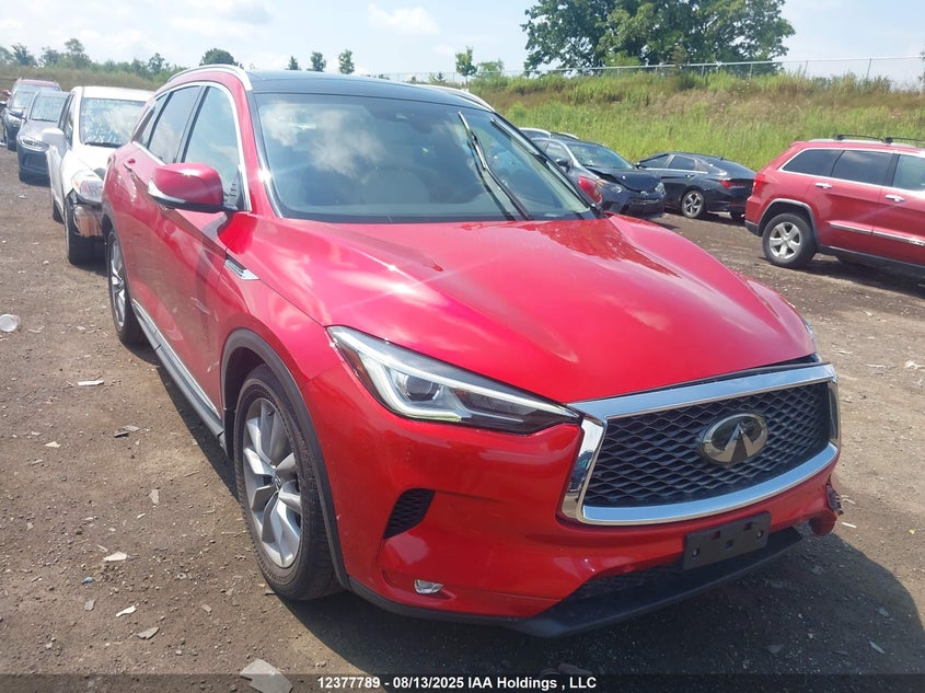 3PCAJ5M30KF131307 2019 Infiniti Qx50 Autograph/Essential/Luxe/Proactive/Sensory auction photo 1