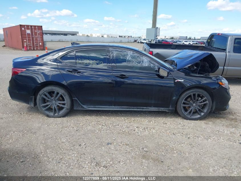 2018 Acura Tlx Tech/Tech R VIN: 19UUB1F69JA800368 Lot: 12377859