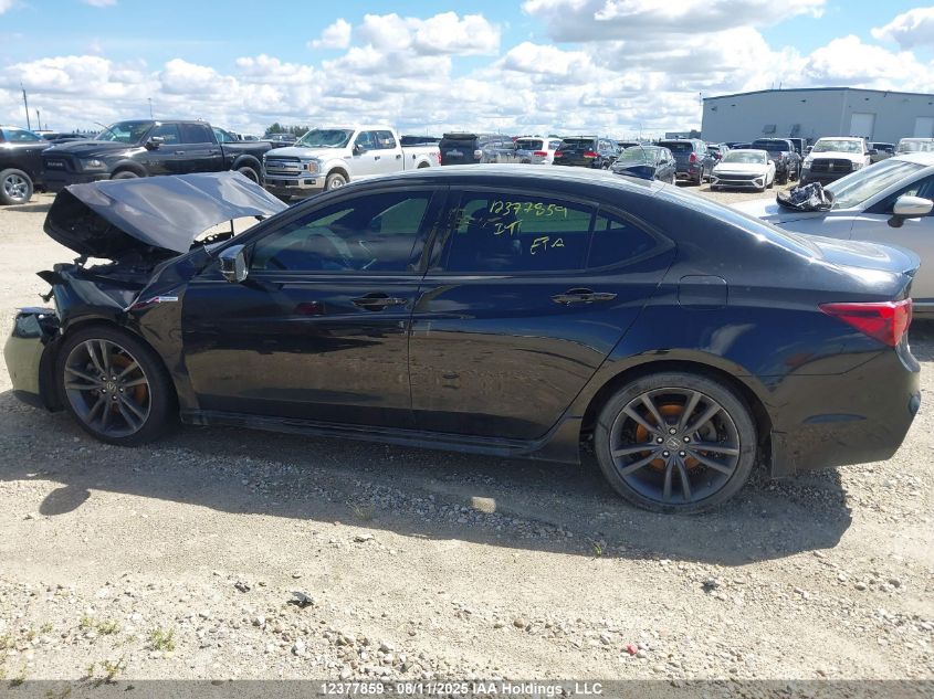 2018 Acura Tlx Tech/Tech R VIN: 19UUB1F69JA800368 Lot: 12377859