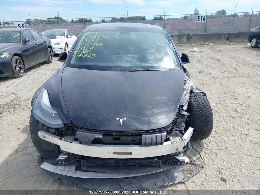 5YJ3E1EC0PF395929 2023 TESLA MODEL 3 photo no. 11