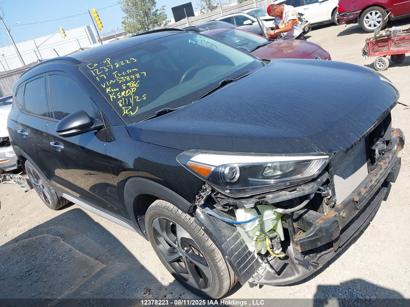 KM8J3CA24HU538987 2017 Hyundai Tucson Limited/Sport And Eco/Se auction photo 1