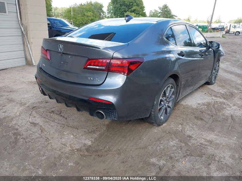 2019 Acura Tlx VIN: 19UUB3F3XKA802410 Lot: 12378338