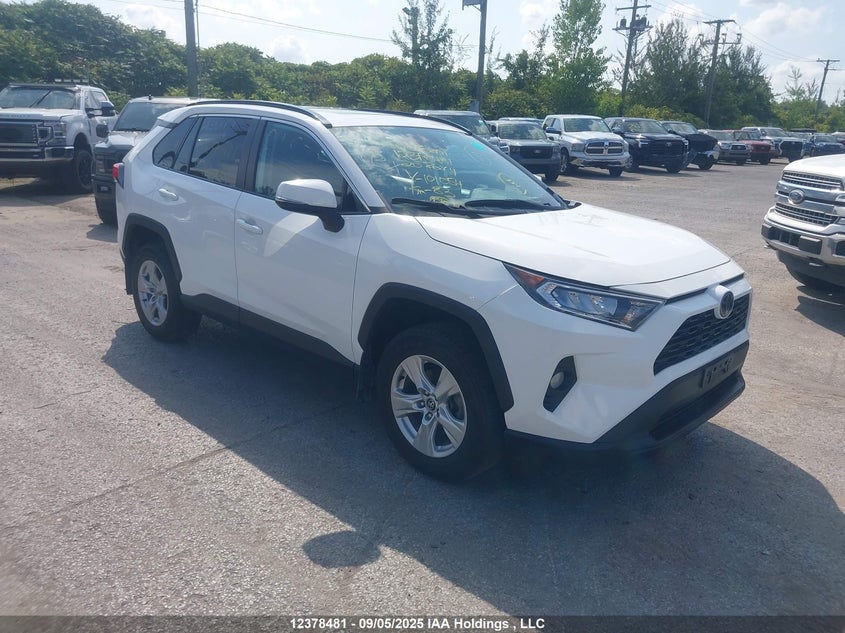 2T3R1RFV4LC101054 2020 Toyota Rav4 Xle auction photo 1