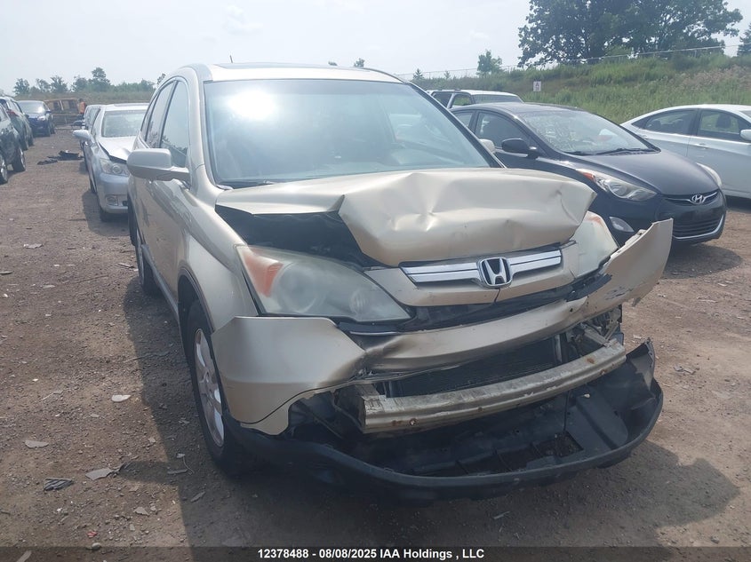 5J6RE48777L816675 2007 Honda Cr-V Ex-L auction photo 1