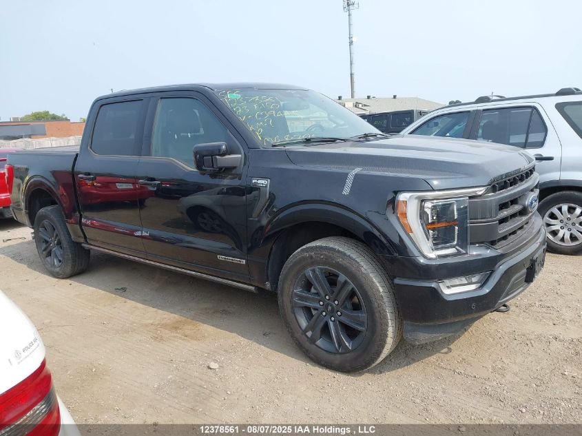 2023 Ford F-150 Lariat VIN: 1FTFW1ED1PFC39445 Lot: 12378561