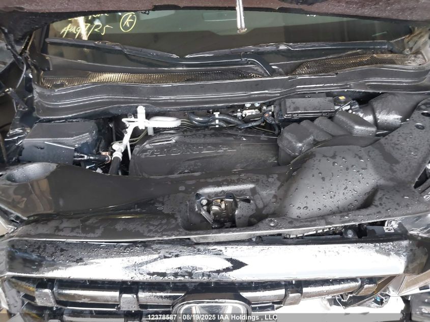 2024 Honda Ridgeline Black Edition VIN: 5FPYK3F81RB501710 Lot: 12378587