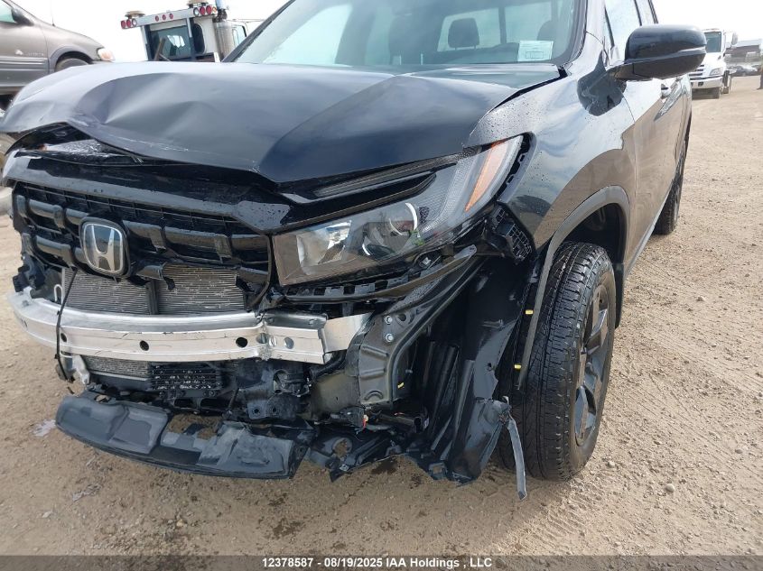 2024 Honda Ridgeline Black Edition VIN: 5FPYK3F81RB501710 Lot: 12378587