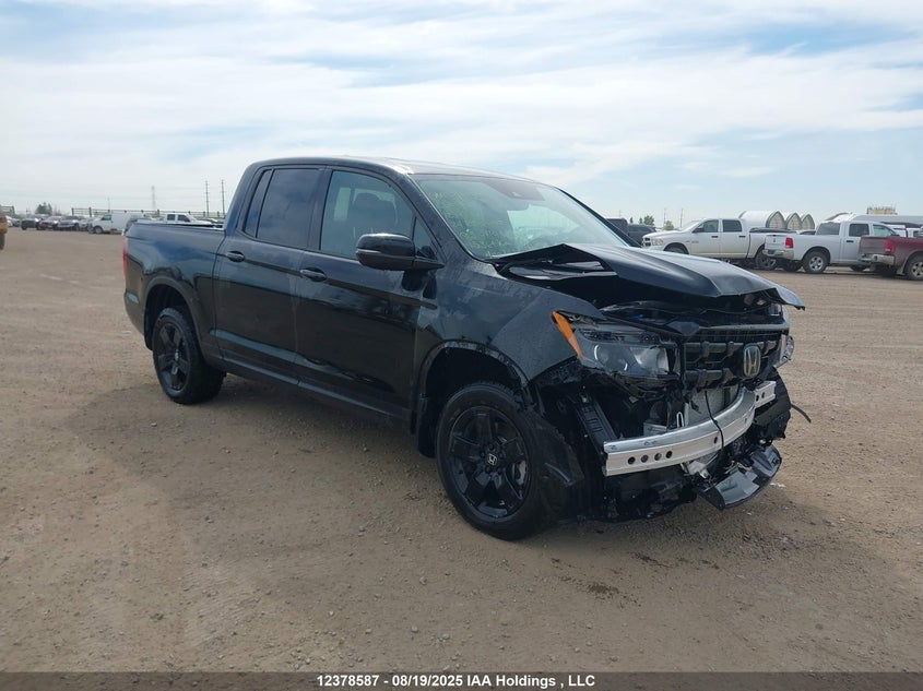 5FPYK3F81RB501710 2024 Honda Ridgeline Black Edition auction photo 1