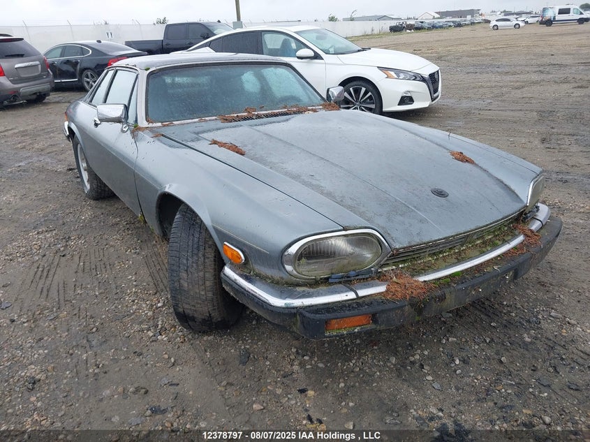 SAJNL5840KC155989 1989 Jaguar Xjs auction photo 1