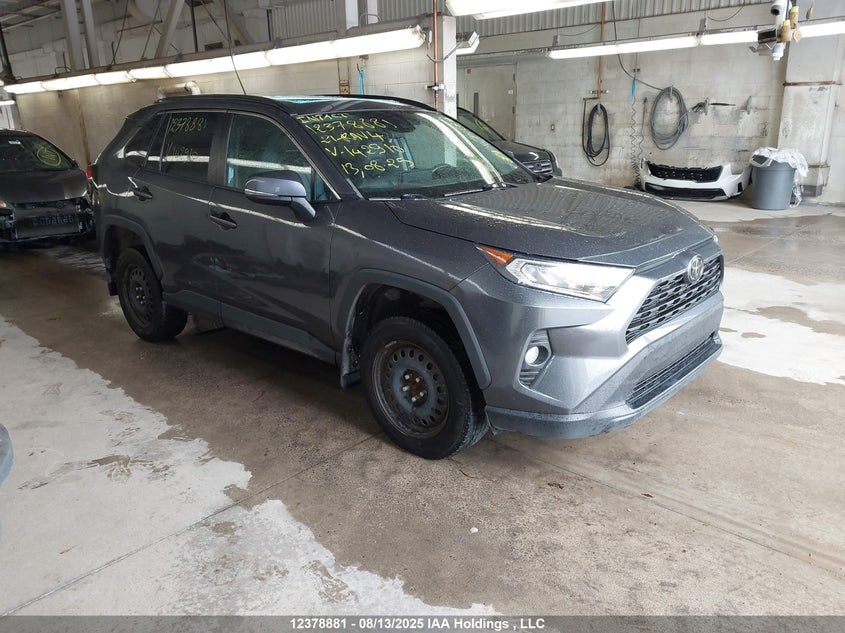 2T3R1RFV5MW142910 2021 Toyota Rav4 Xle/Xle Premium auction photo 1