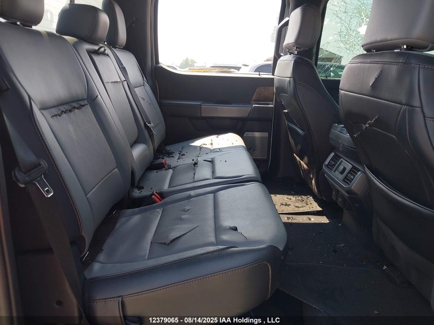 1FTVW1EL0PWG15698 2023 FORD F-150 photo no. 8