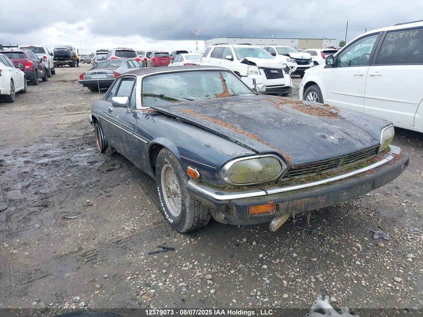 SAJNV5849GC133040 1986 Jaguar Xjs auction photo 1