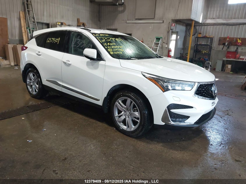 5J8TC2H94KL808650 2019 Acura Rdx Platinum Elite auction photo 1