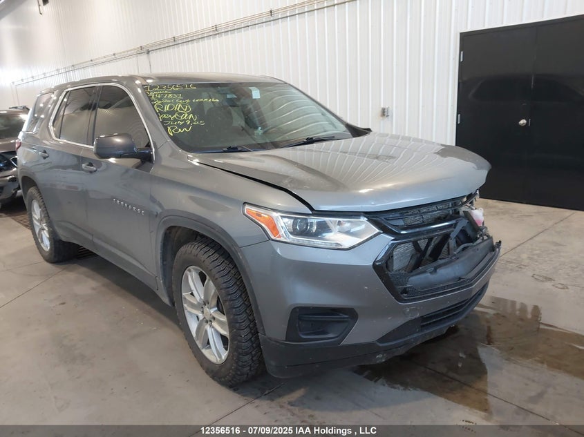 1GNEVFKW6LJ147831 2020 Chevrolet Traverse Ls auction photo 1