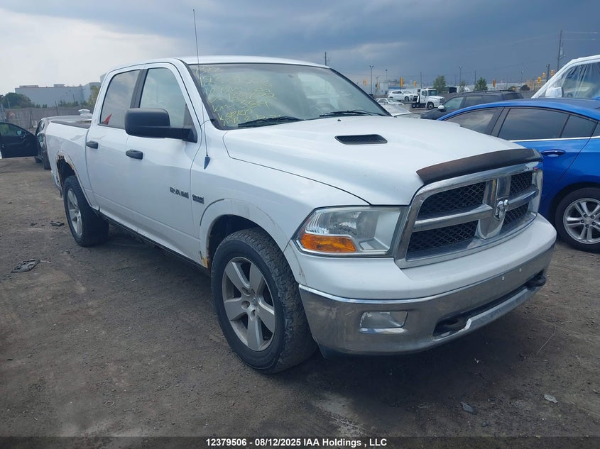 1D7RV1CT3AS169672 2010 Dodge Ram 1500 auction photo 1