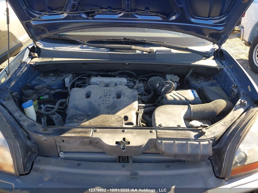 KM8JM12D39U149115 2009 HYUNDAI TUCSON photo no. 10