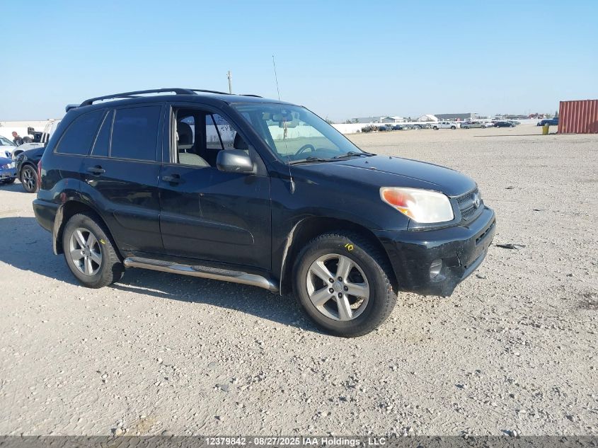 2005 Toyota Rav4 VIN: JTEHD20V756026948 Lot: 12379842