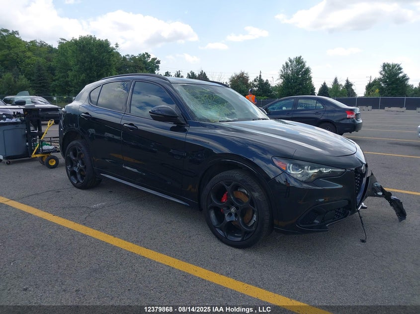 ZASPAKBN4R7D70993 2024 Alfa Romeo Stelvio Competizione Awd auction photo 1