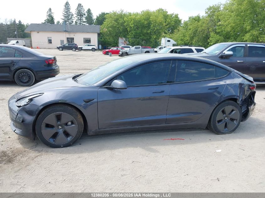 2023 Tesla Model 3 VIN: LRW3E1EB5PC851800 Lot: 12380205