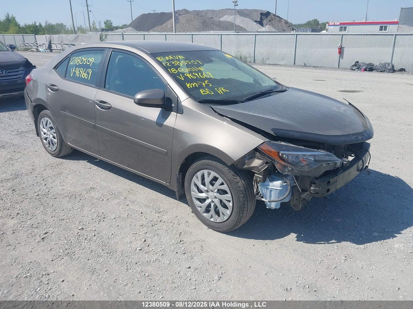2T1BURHE3JC969669 2018 Toyota Corolla Le auction photo 1